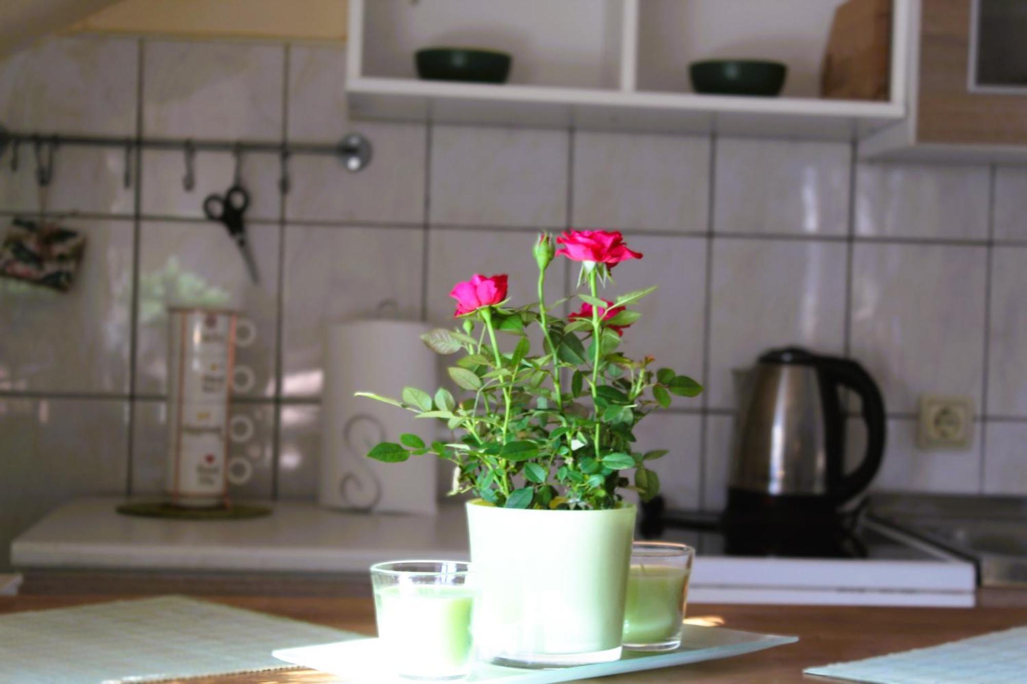 Svila Apartmani Bihać Extérieur photo